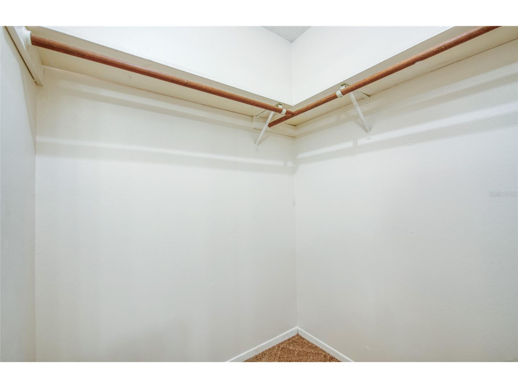 6922 Silvermill Drive Tampa FL 33635 TB8501780 image36
