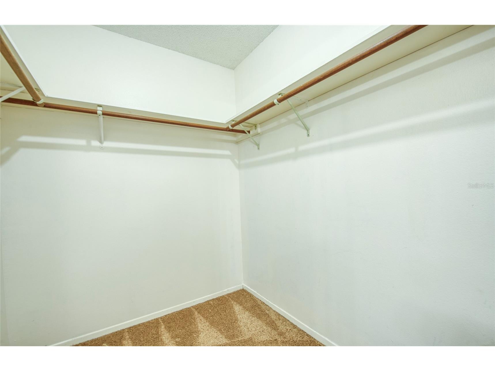 6922 Silvermill Drive Tampa FL 33635 TB8501780 image37