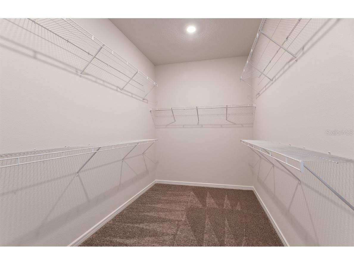 6923 Depue Drive Wesley Chapel FL 33545 TB8434356 image15