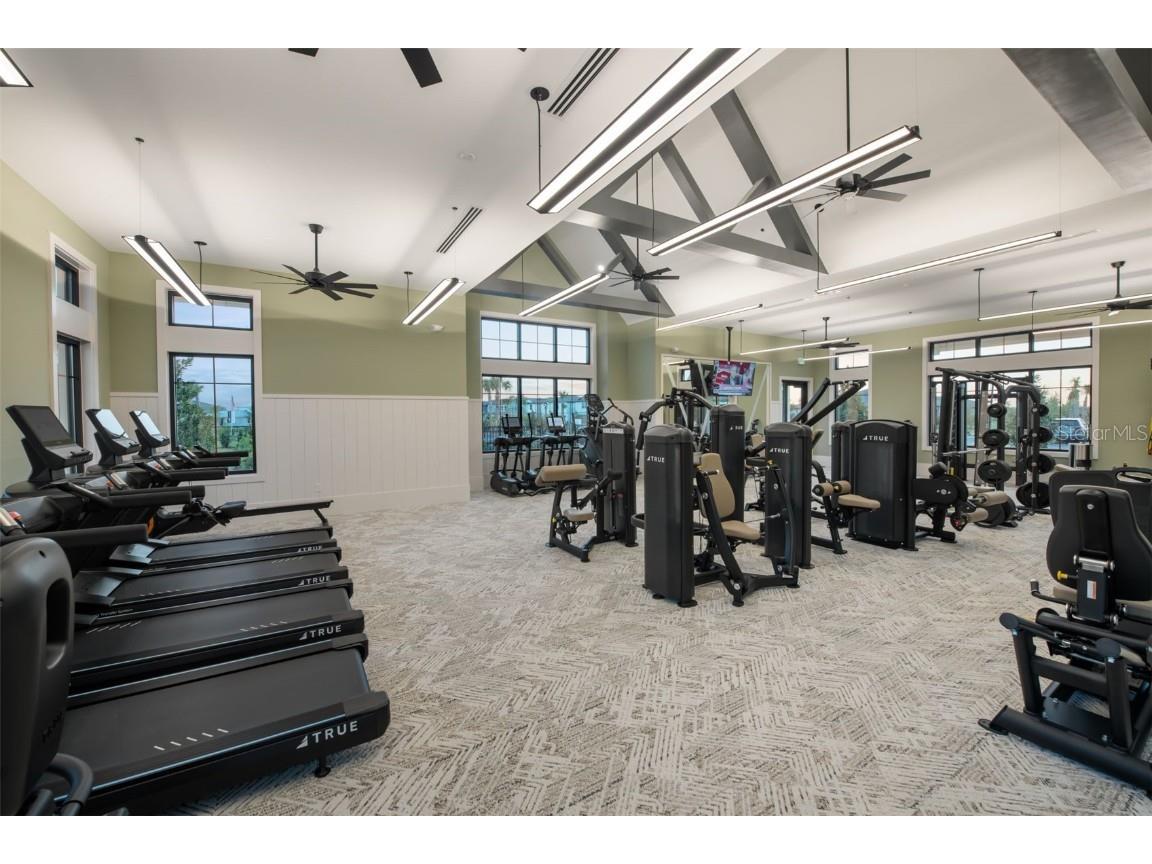 6923 Depue Drive Wesley Chapel FL 33545 TB8434356 image28