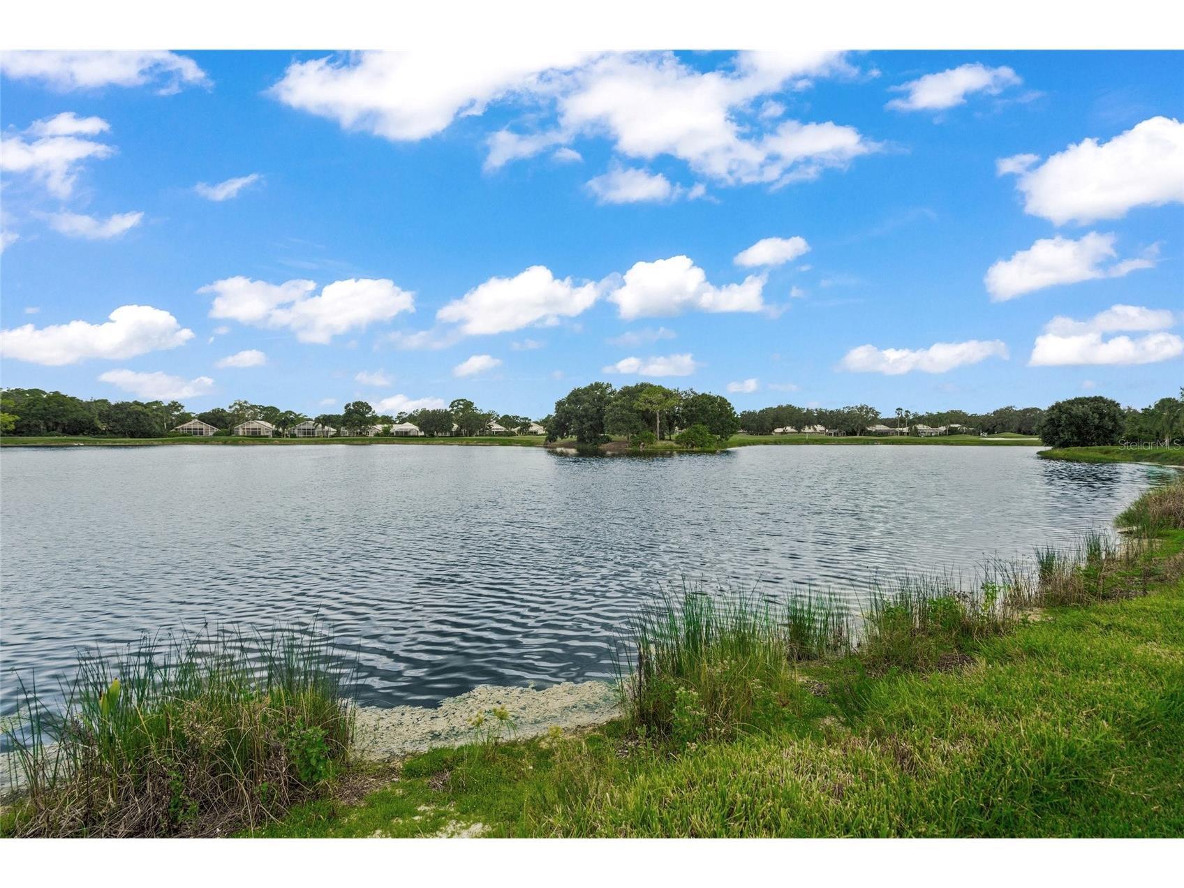 6923 Lennox Place University Park FL 34201 A4690839 image53