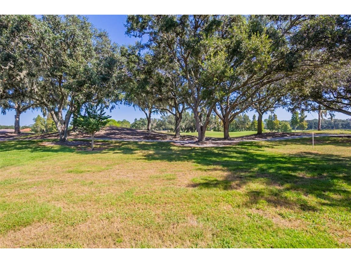 6924 Lake Eaglebrooke Drive Lakeland FL 33813 O6343002 image49