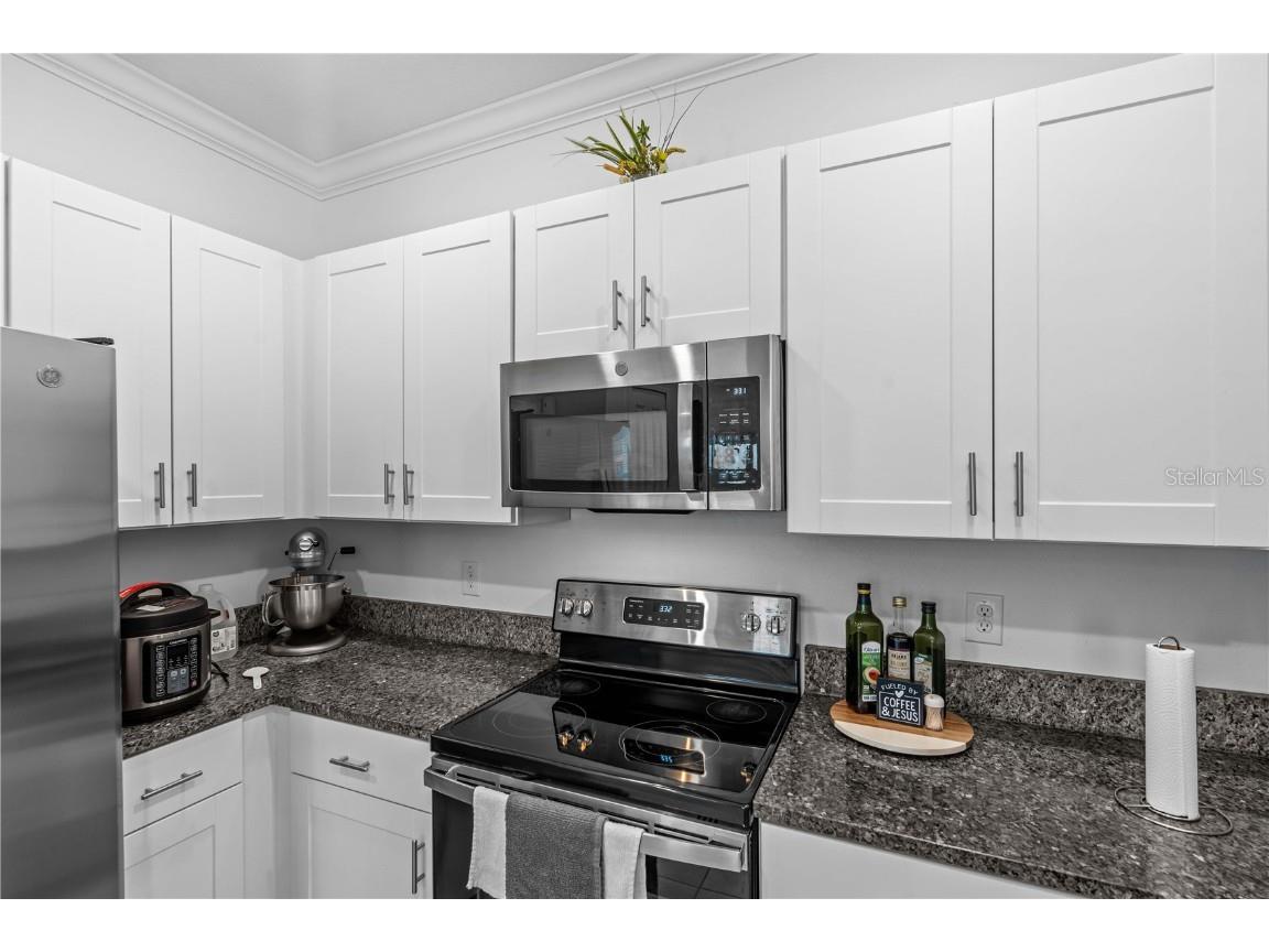 6924 Ripple Pond Loop Zephyrhills FL 33541 TB8406335 image29