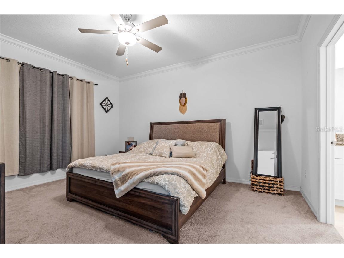 6924 Ripple Pond Loop Zephyrhills FL 33541 TB8406335 image39