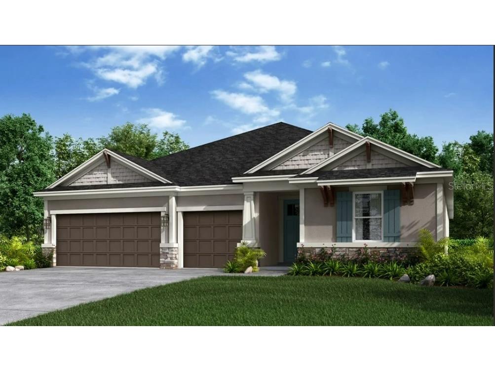 6924 Talamore Drive Wesley Chapel FL 33545 A4540612 image1