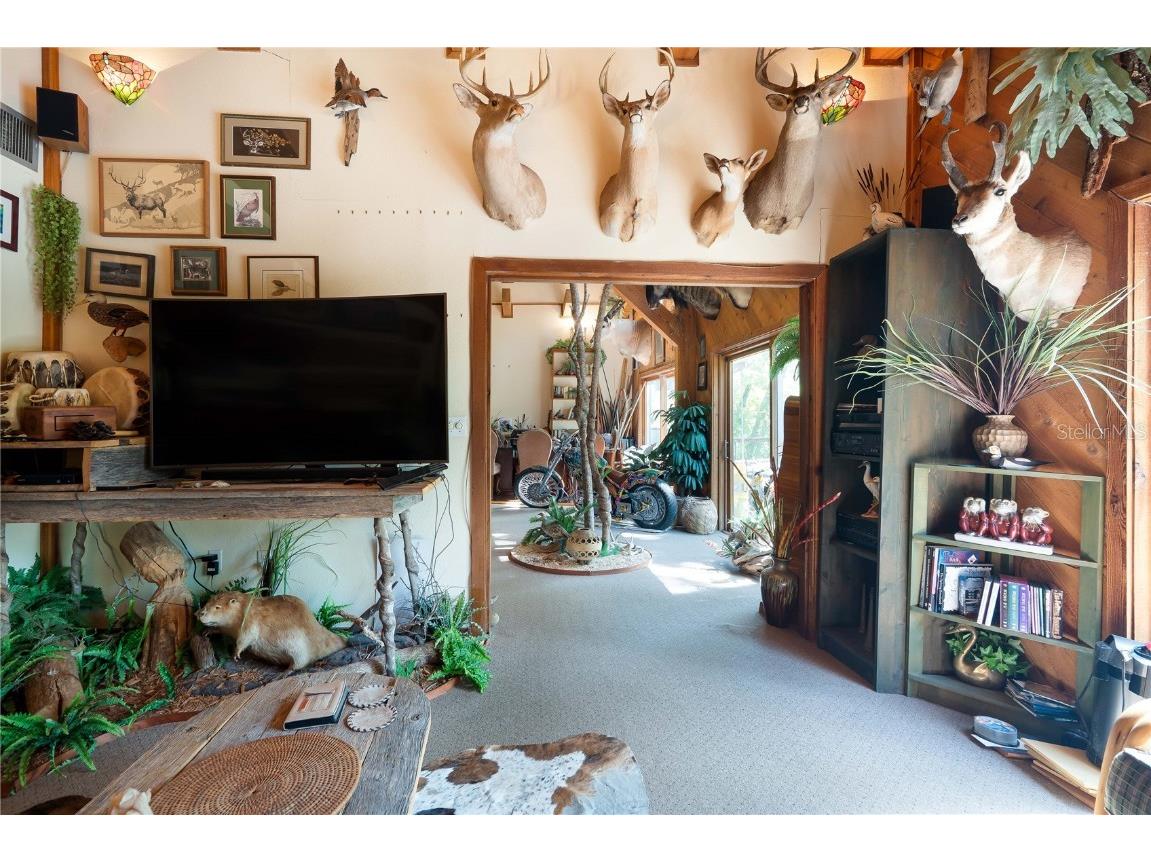 6924 Valrie Lane Riverview FL 33569 - ALAFAYA RIVER TB8401164 image20