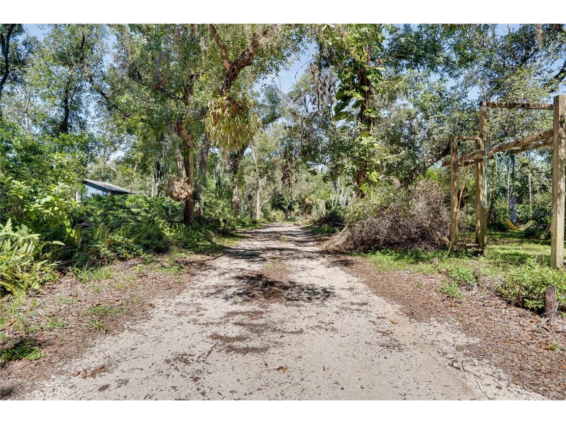 6924 Valrie Lane Riverview FL 33569 - ALAFAYA RIVER TB8401164 image6