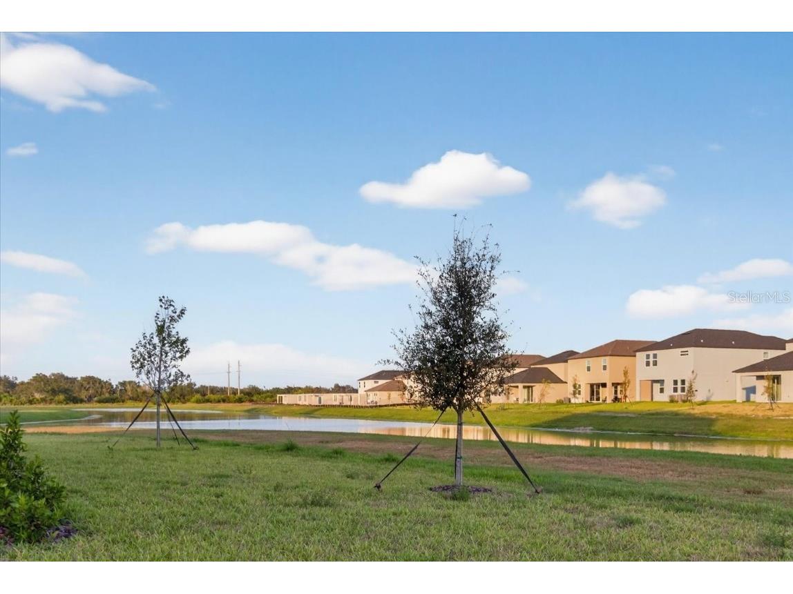 6925 E 116th Court #MAIN HOME ONLY Palmetto FL 34221 TB8452876 image51