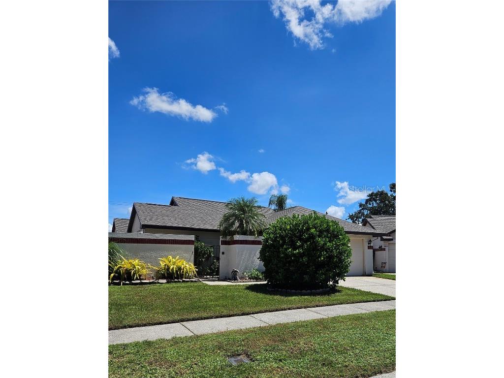6925 Silvermill Drive Tampa FL 33635 T3553104 image1
