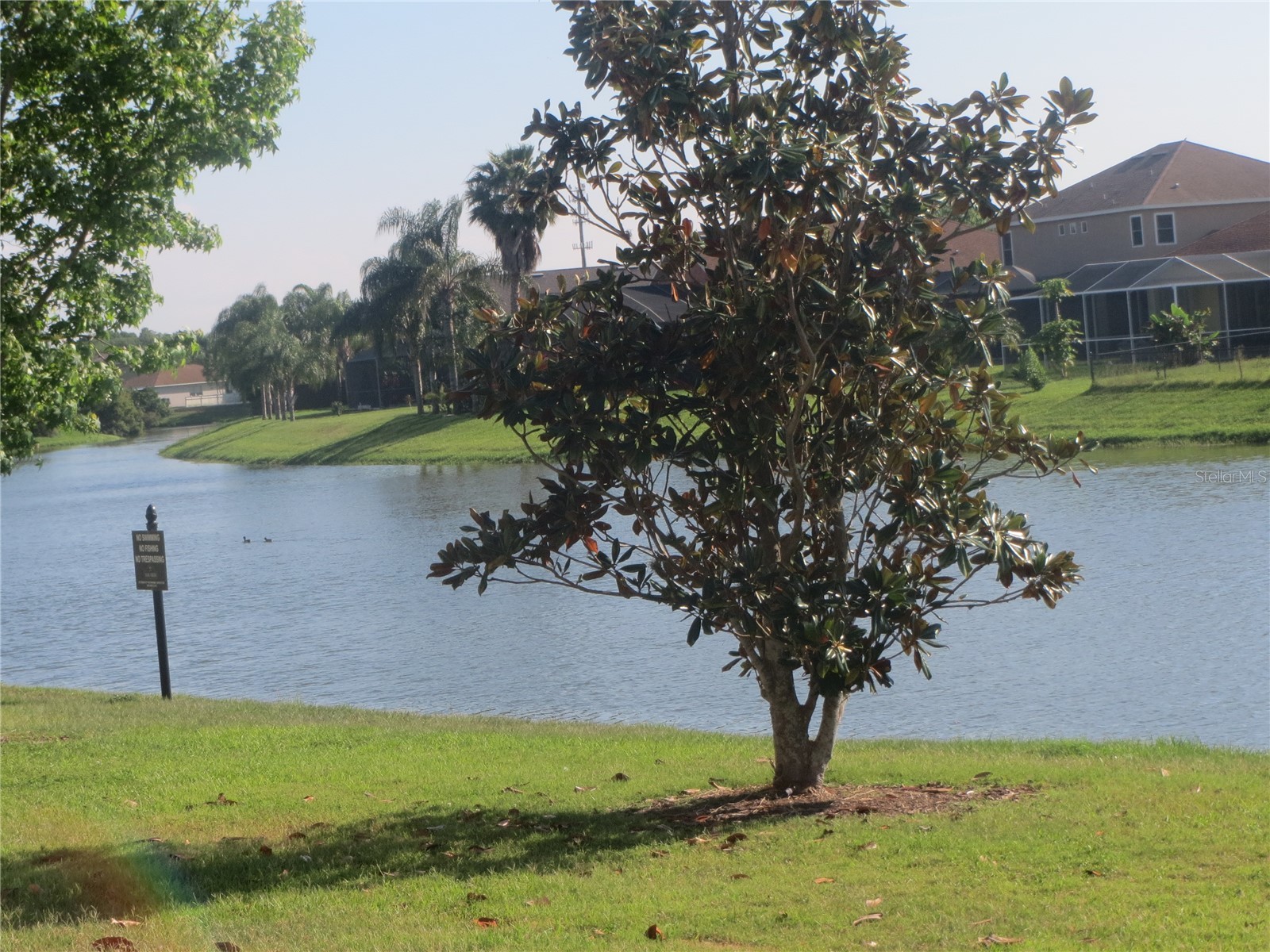6925 Towering Spruce Drive Riverview FL 33578 TB8505097 image2