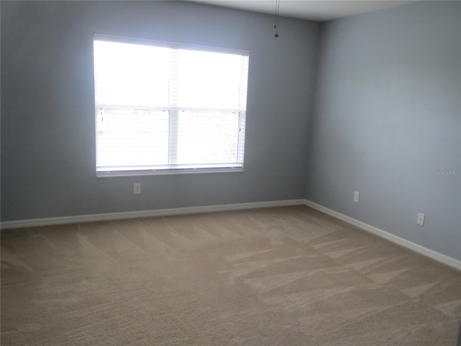 6925 Towering Spruce Drive Riverview FL 33578 TB8505097 image8