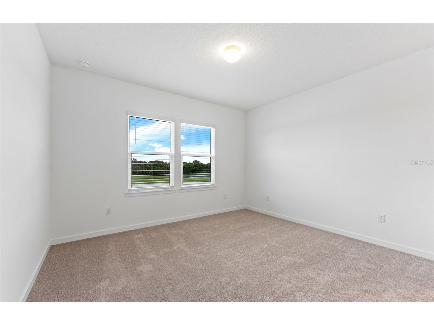 6926 Gilly Shadow Street Wesley Chapel FL 33545 TB8469535 image18