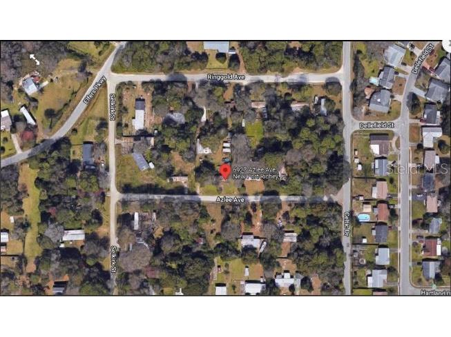 6927 Azlee Avenue New Port Richey FL 34655 O6261732 image3