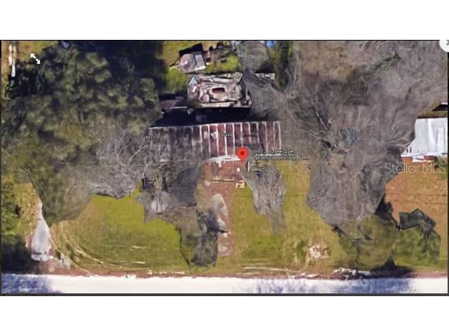 6927 Azlee Avenue New Port Richey FL 34655 O6261732 image4