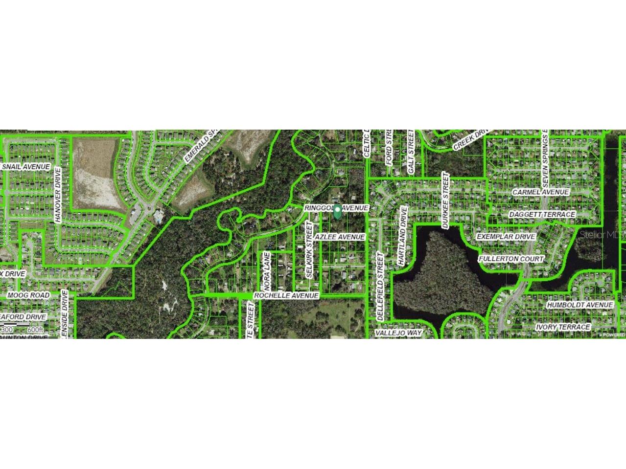 6927 Azlee Avenue New Port Richey FL 34655 O6261732 image7