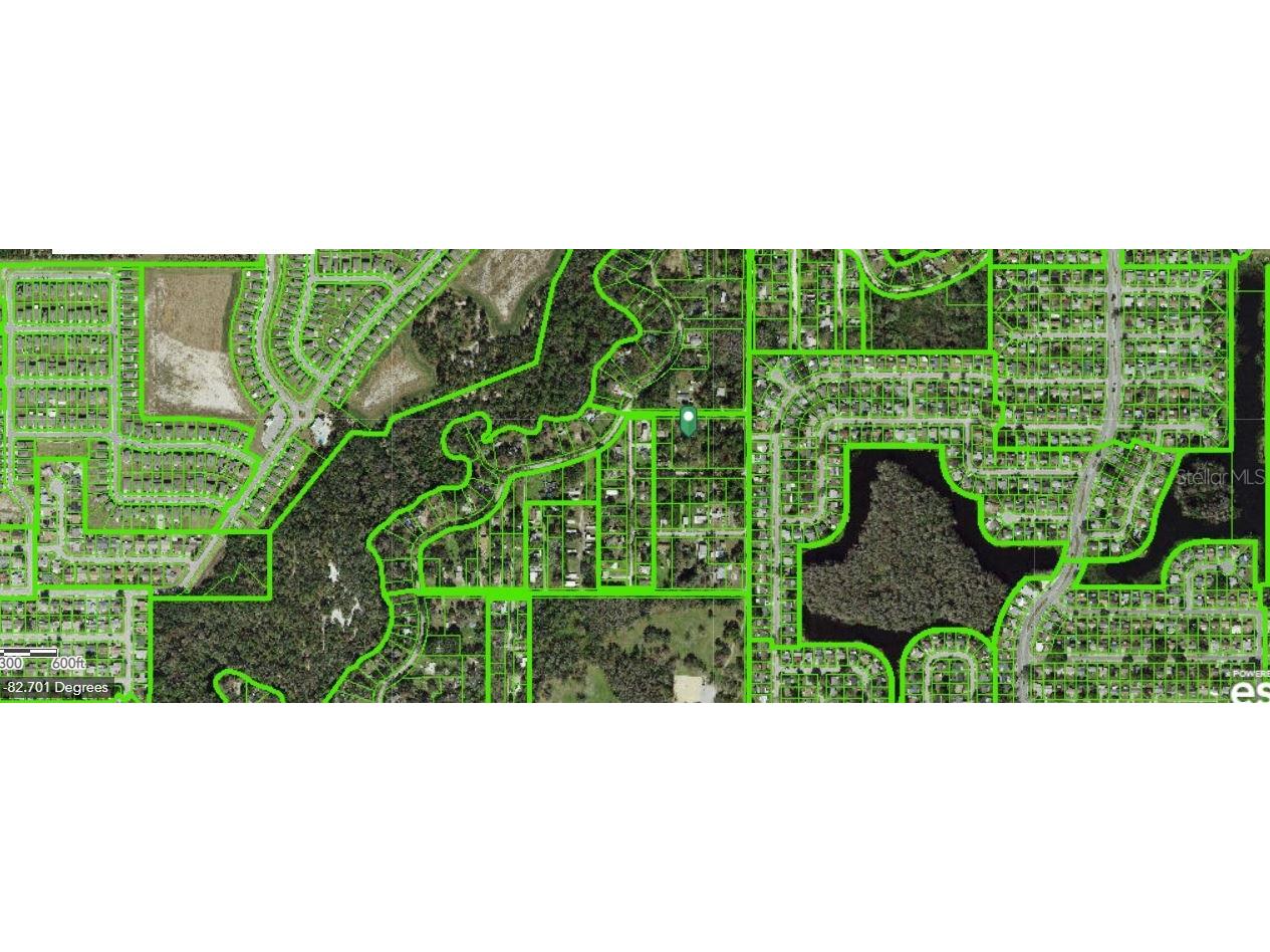 6927 Azlee Avenue New Port Richey FL 34655 O6261732 image8