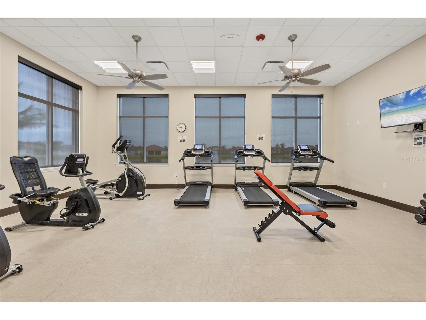 6927 Indus Valley Circle Parrish FL 34219 A4683548 image58