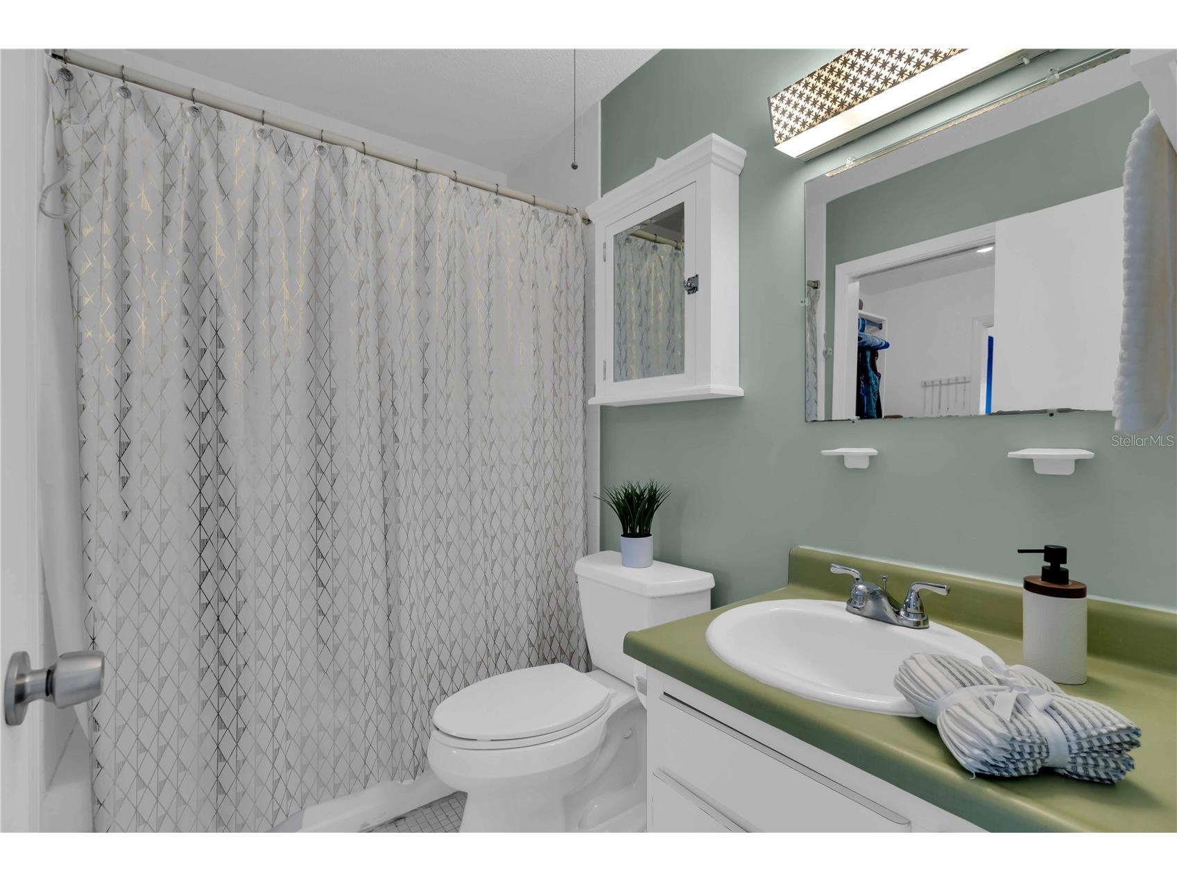 6927 Place De La Paix #6927 Saint Petersburg FL 33707 TB8484534 image20