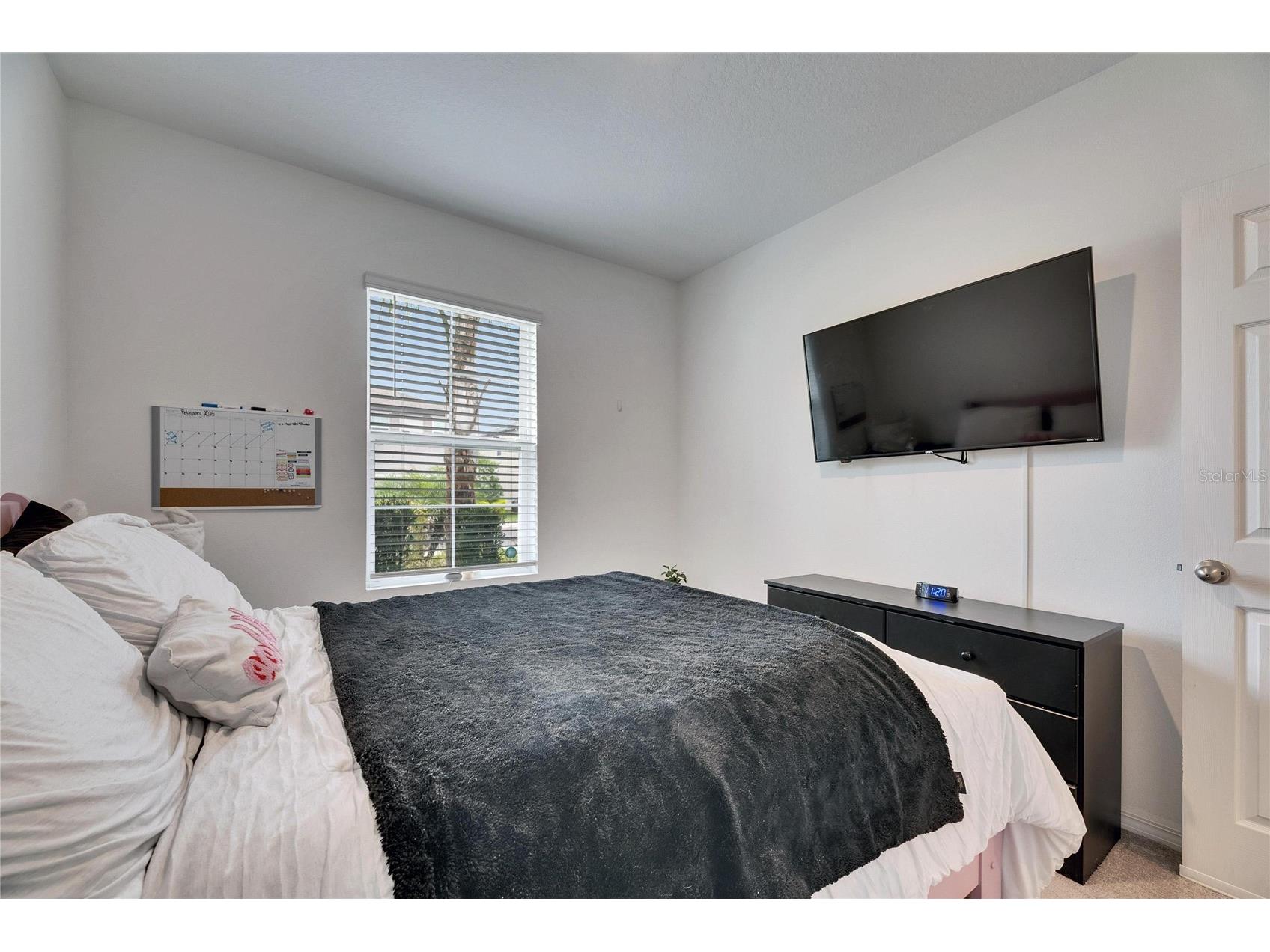 6927 Shelby Lynn Way Zephyrhills FL 33542 TB8474660 image13
