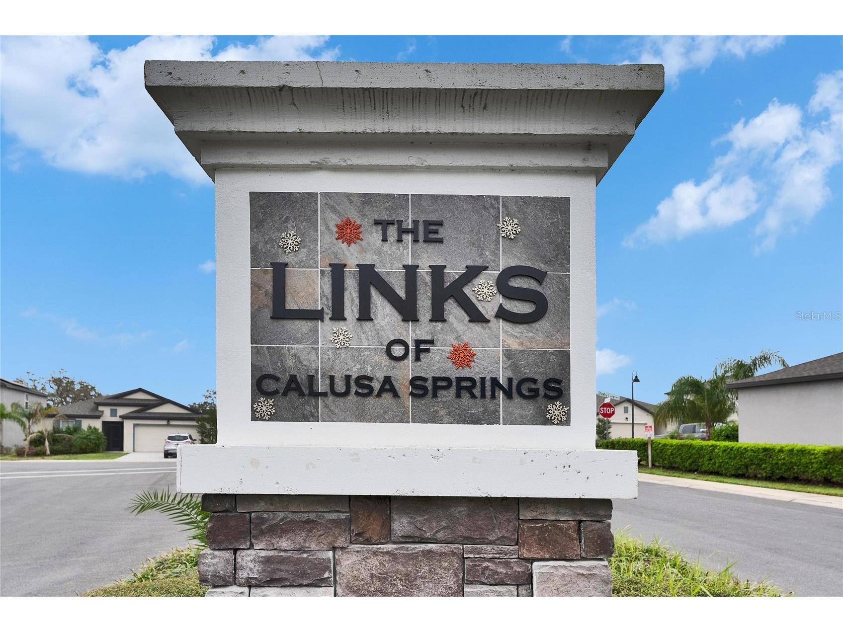 6927 Shelby Lynn Way Zephyrhills FL 33542 TB8474660 image59