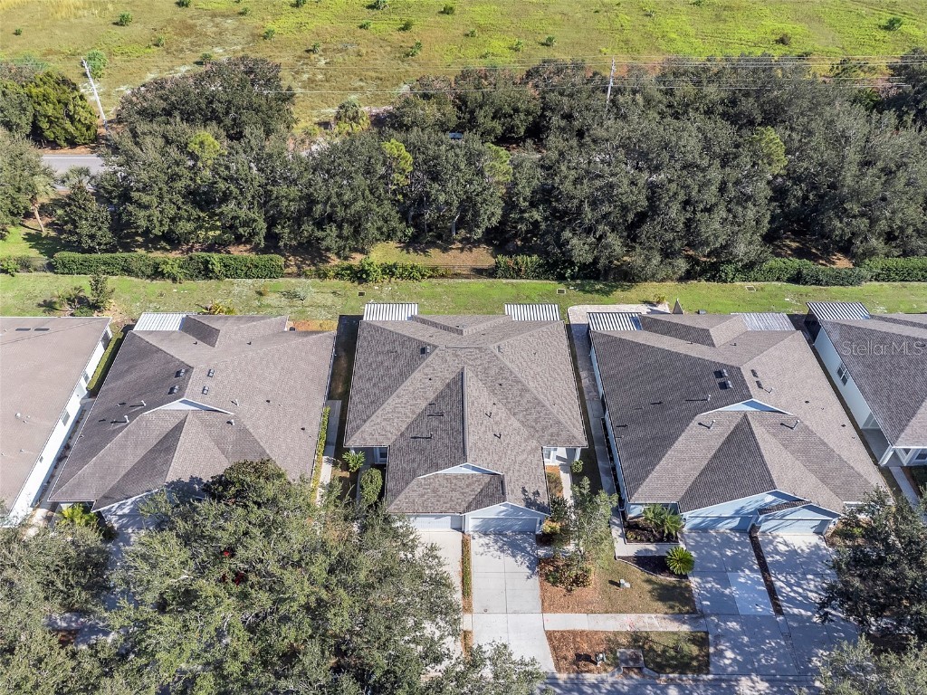 6927 Surrey Hill Place Apollo Beach FL 33572 TB8449516 image25