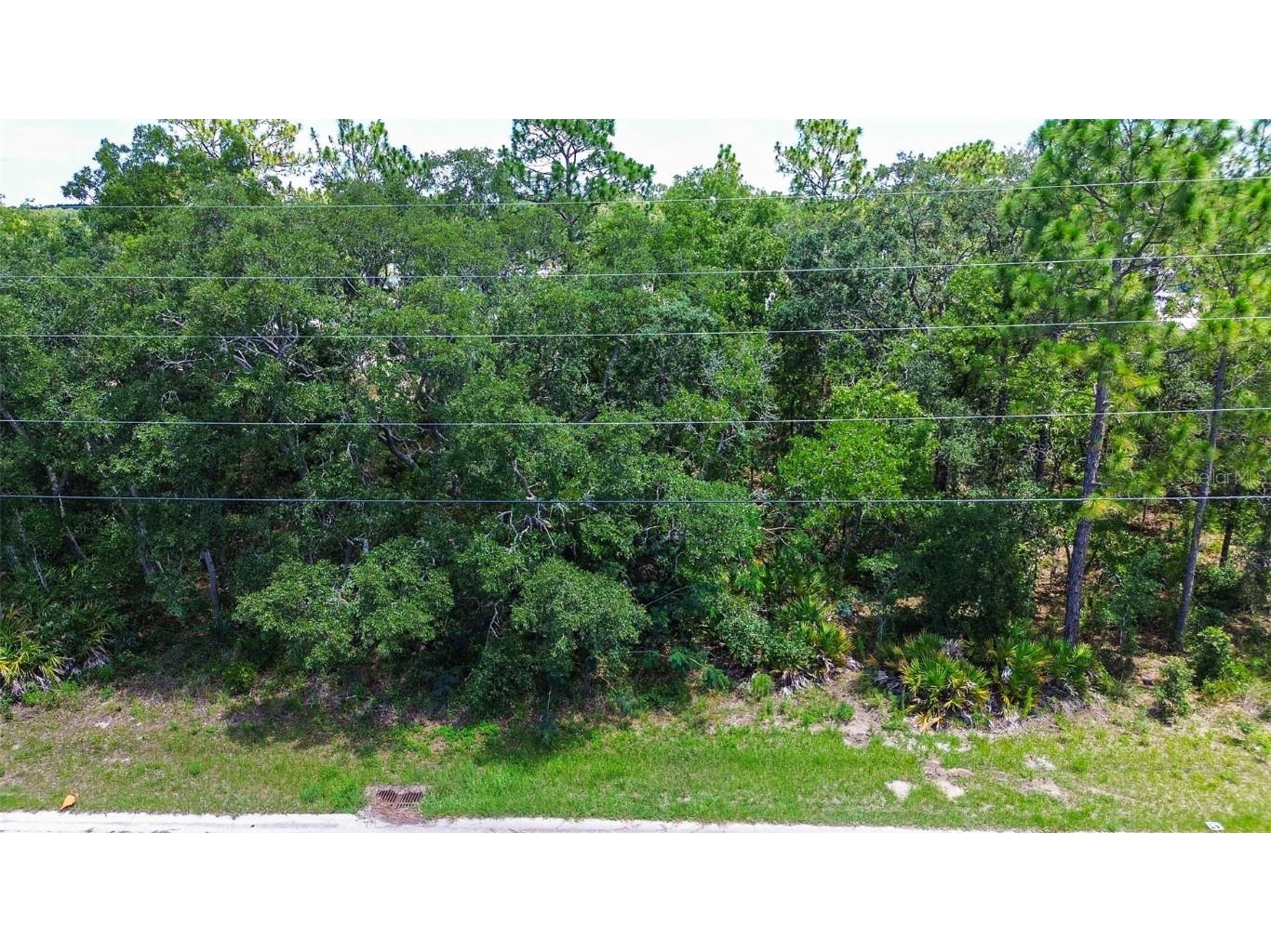 6927 W Merrivale Lane Homosassa FL 34446 TB8397775 image1