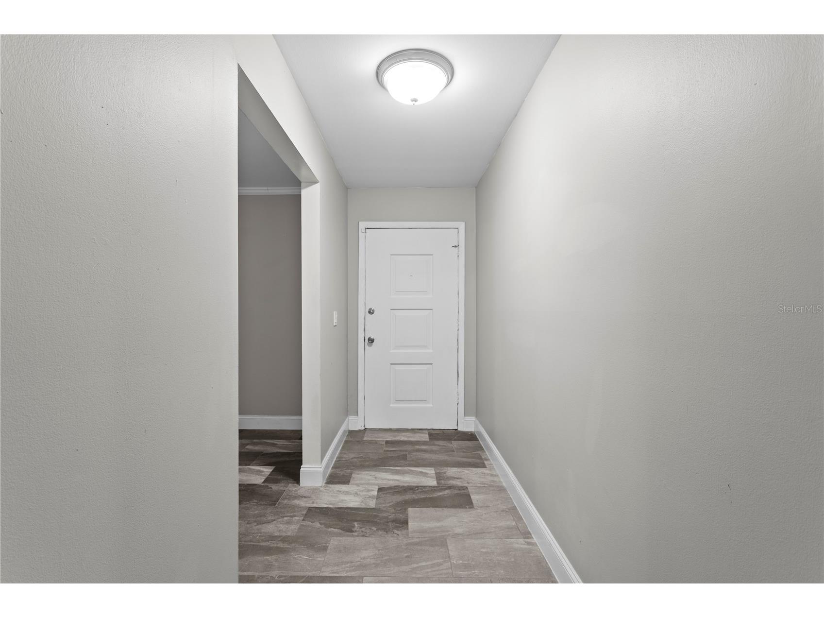 6928 Greenhill Place Tampa FL 33617 TB8523303 image4