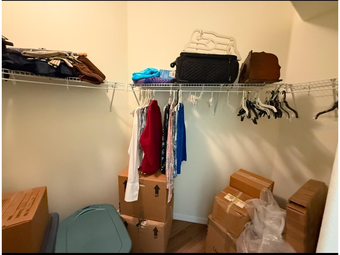 6928 Surrey Oak Drive Apollo Beach FL 33572 TB8460315 image12