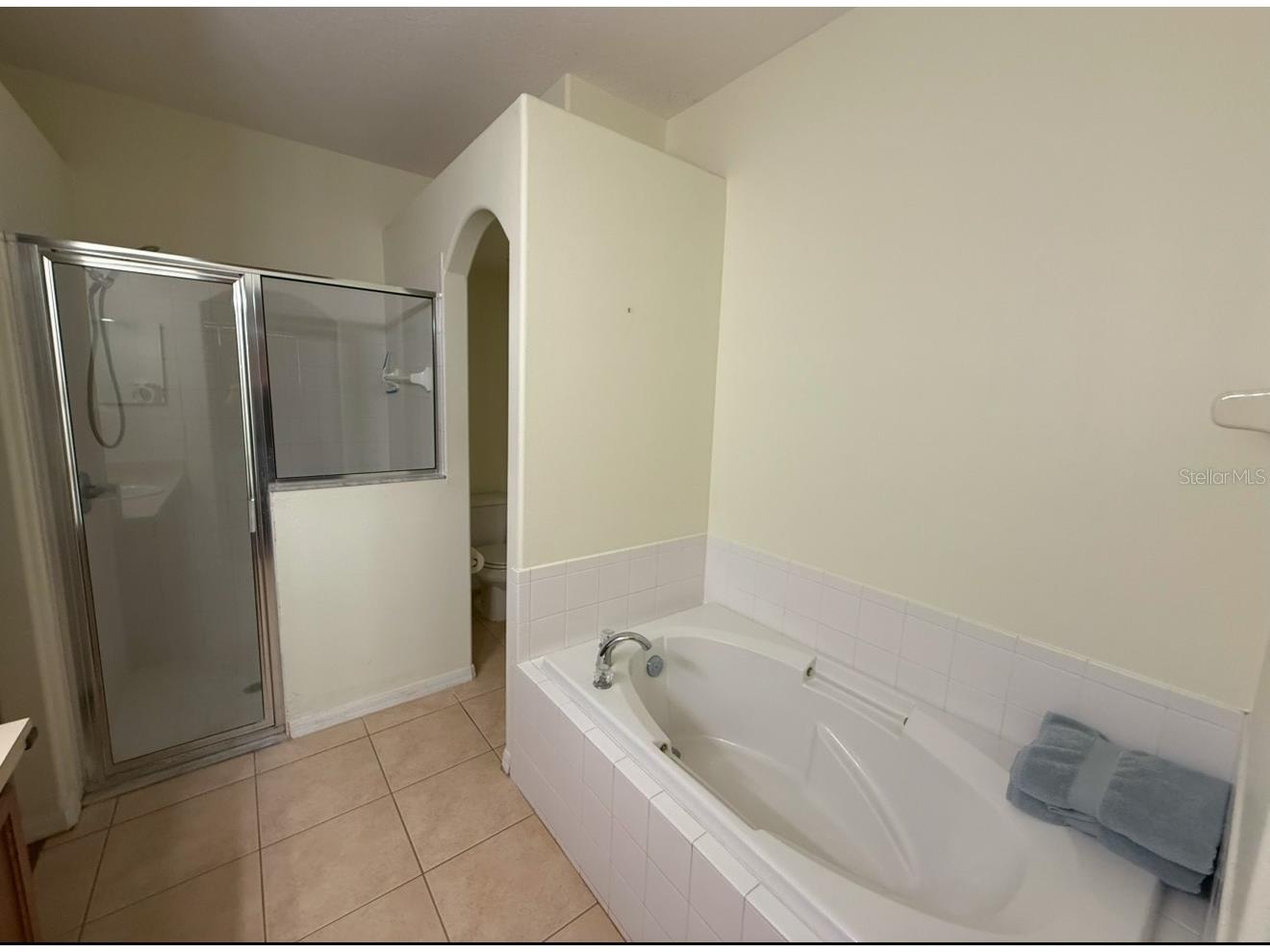 6928 Surrey Oak Drive Apollo Beach FL 33572 TB8460315 image13