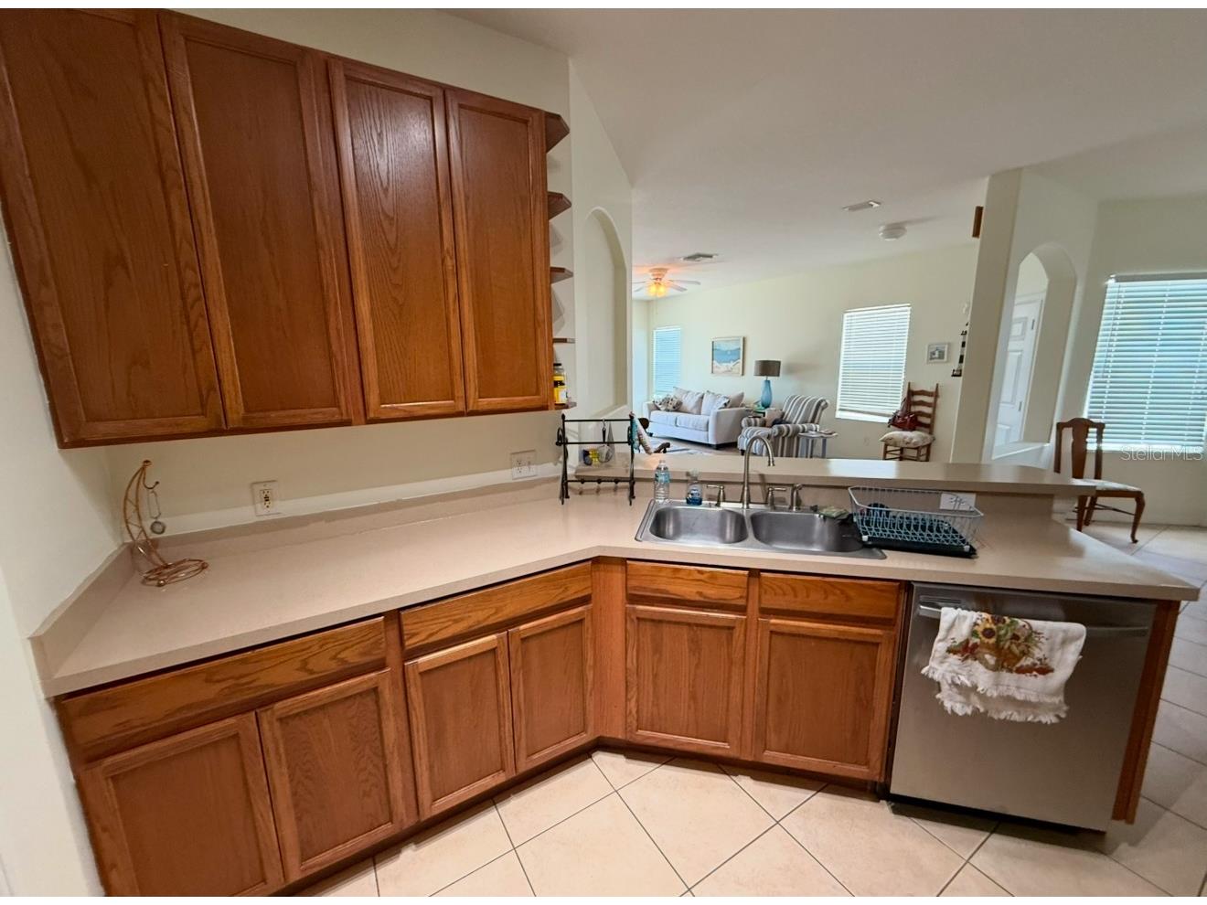 6928 Surrey Oak Drive Apollo Beach FL 33572 TB8460315 image5