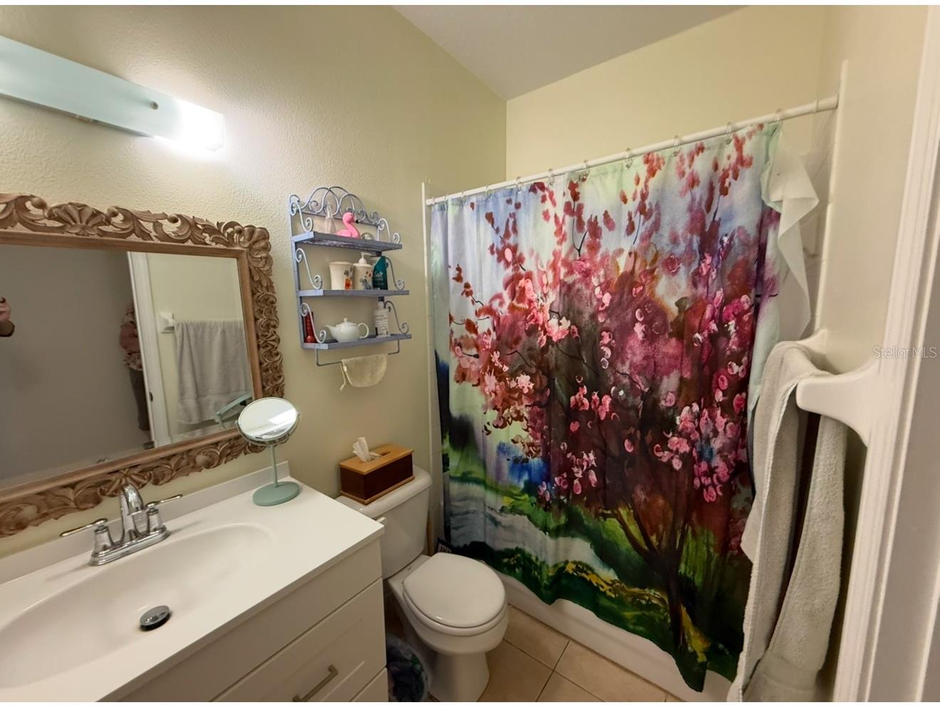 6928 Surrey Oak Drive Apollo Beach FL 33572 TB8460315 image9