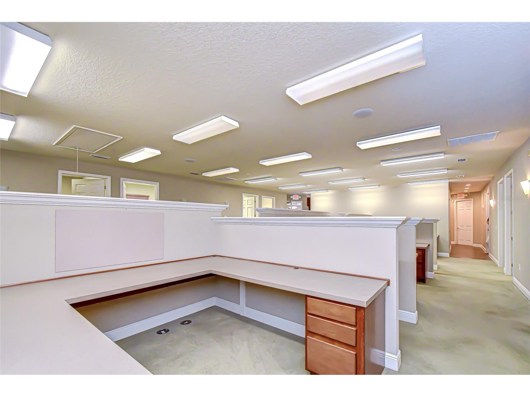 6928 W Linebaugh Avenue Tampa FL 33625 TB8463214 image14