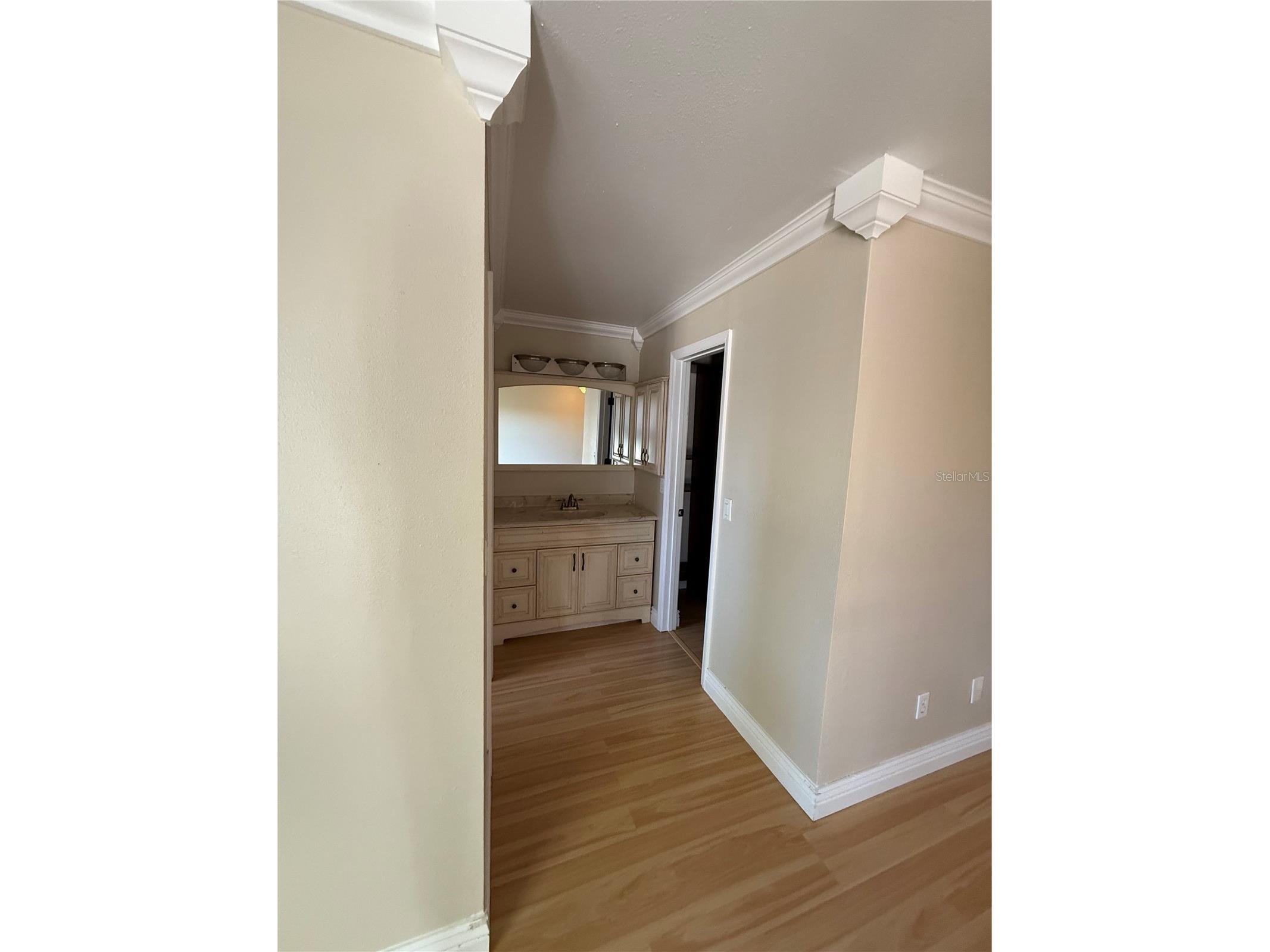 6929 Firebird Drive Orlando FL 32810 O6369485 image15