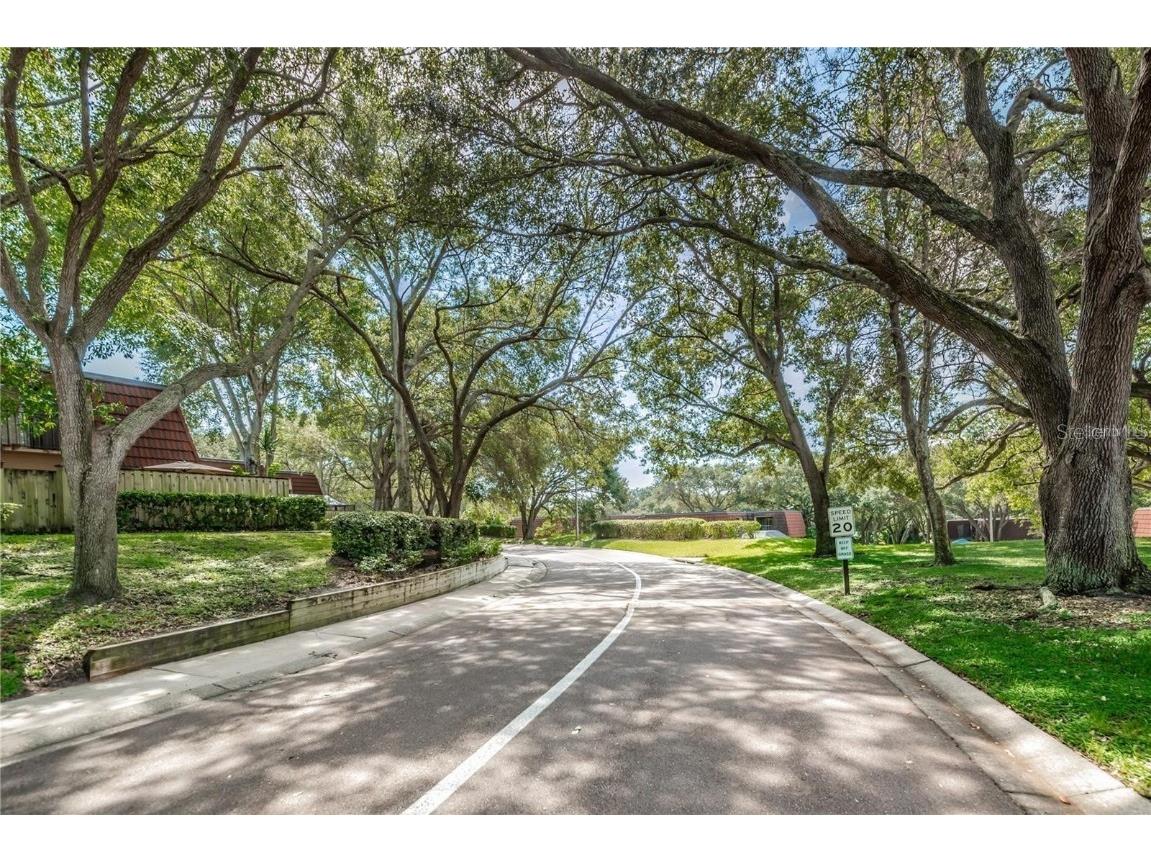 693 1st Court Palm Harbor FL 34684 TB8452307 image31