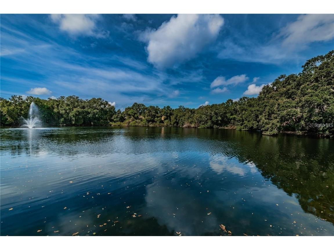 693 1st Court Palm Harbor FL 34684 TB8452307 image32