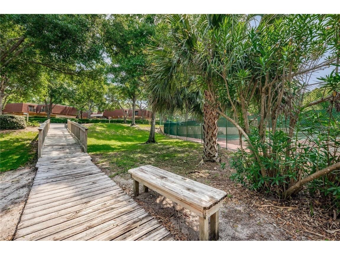 693 1st Court Palm Harbor FL 34684 TB8452307 image34