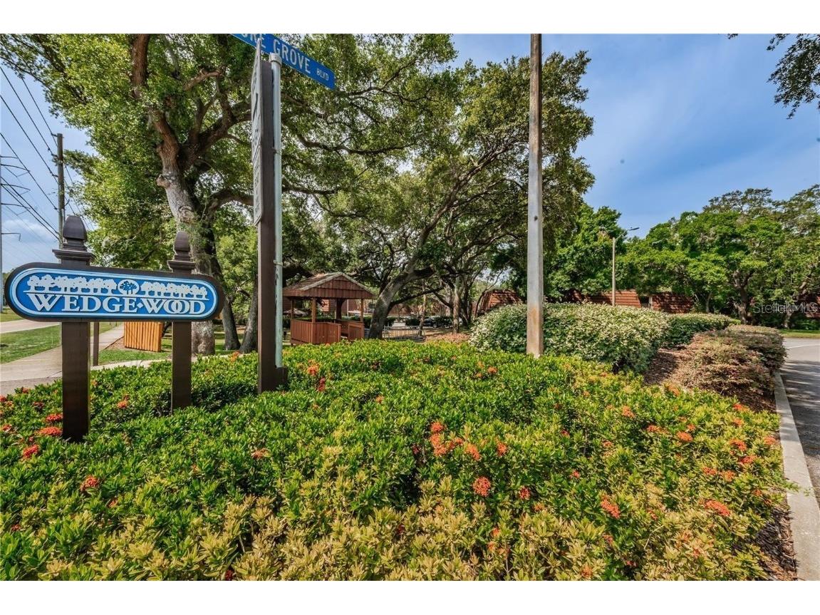 693 1st Court Palm Harbor FL 34684 TB8452307 image35