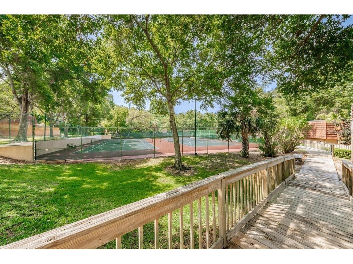 693 1st Court Palm Harbor FL 34684 TB8452307 image38