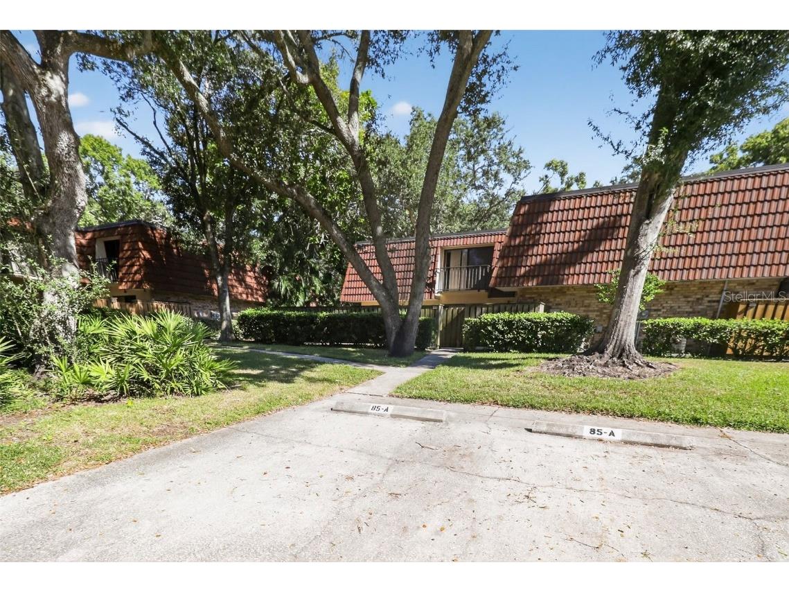 693 1st Court Palm Harbor FL 34684 TB8452307 image4