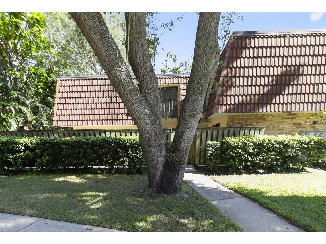 693 1st Court Palm Harbor FL 34684 TB8452307 image5