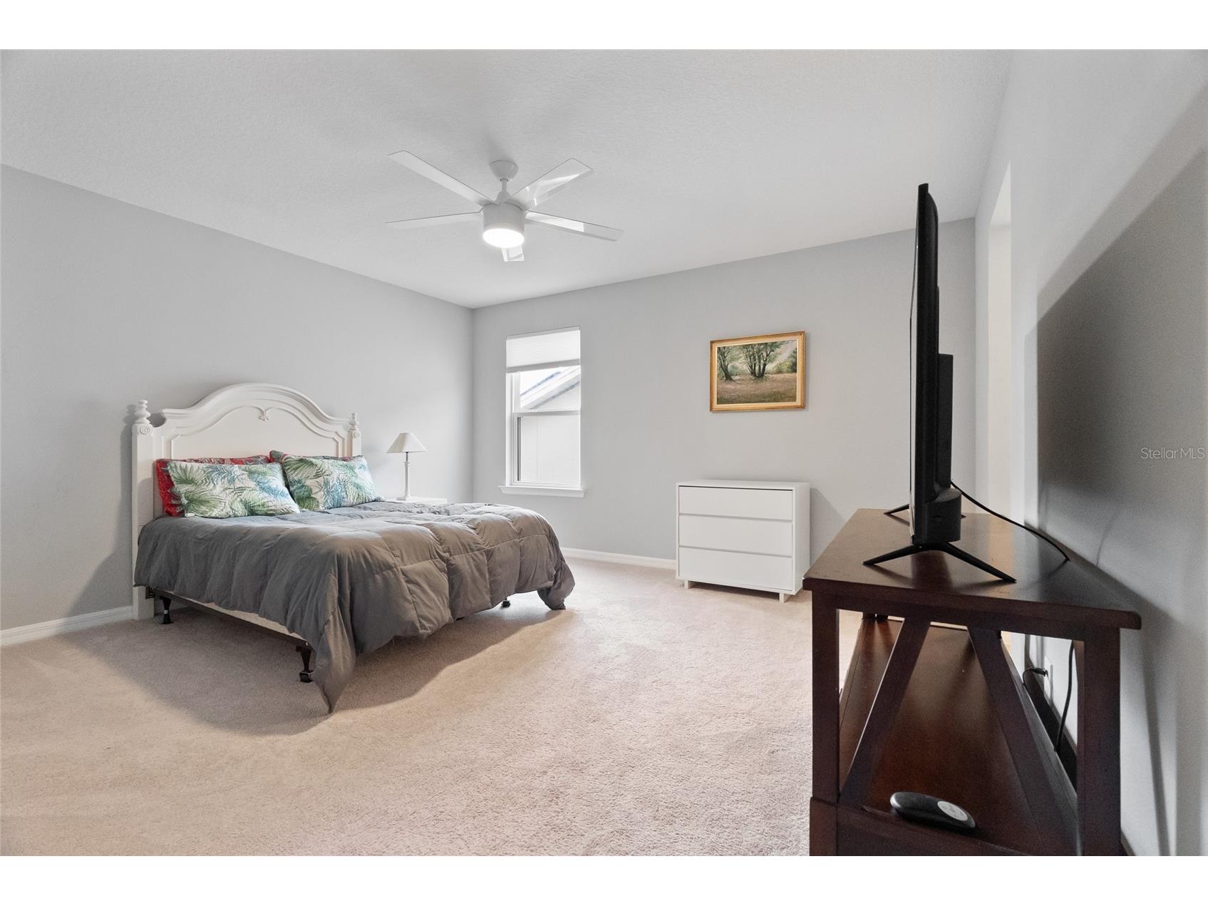 693 Big Pine Avenue Minneola FL 34715 S5145621 image32