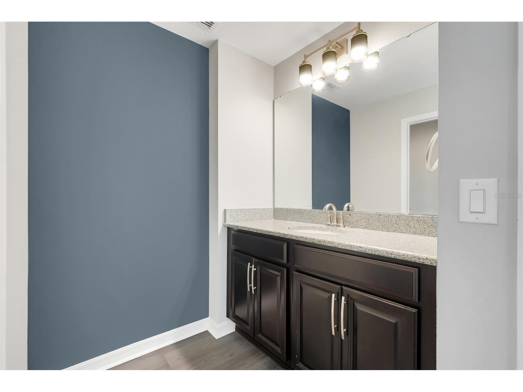 693 Black Eagle Drive Groveland FL 34736 - Cook Lake O6418519 image39