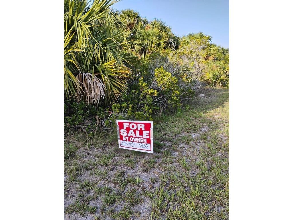 693 Sandlewood Street SW Palm Bay FL 32908 O6321315 image1