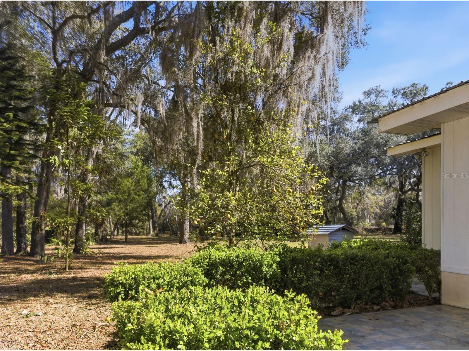 6930 County Road 214 Melrose FL 32666 A4682234 image34