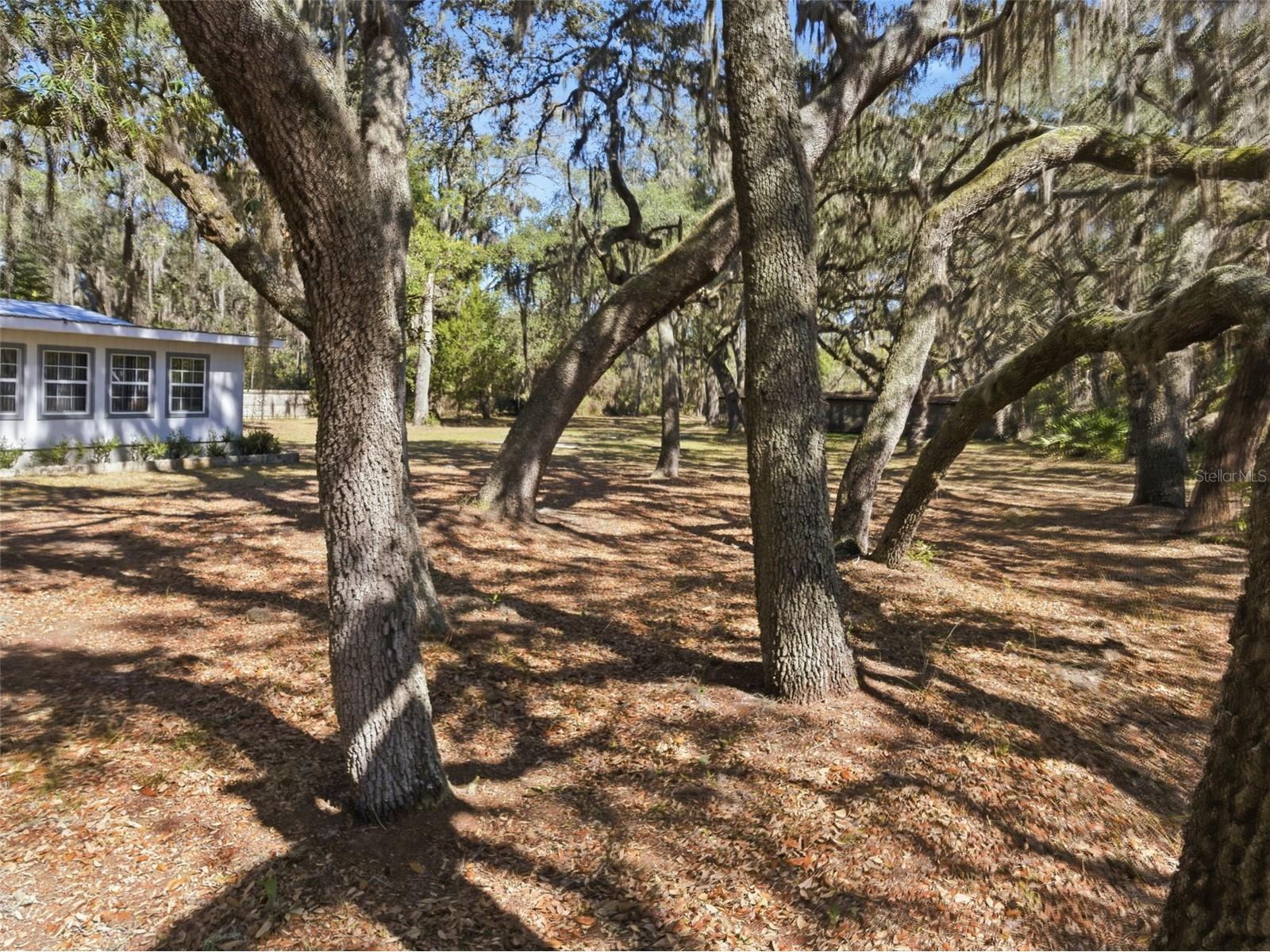 6930 County Road 214 Melrose FL 32666 A4682234 image42