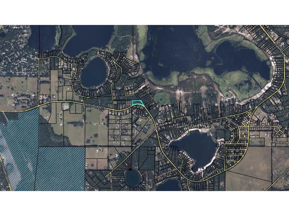 6930 County Road 214 Melrose FL 32666 A4682234 image46