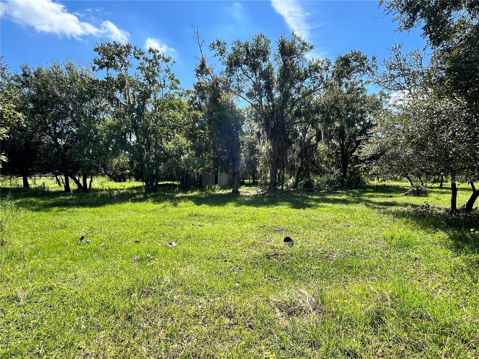 6930 Muck Pond Road Seffner FL 33584 TB8417228 image1