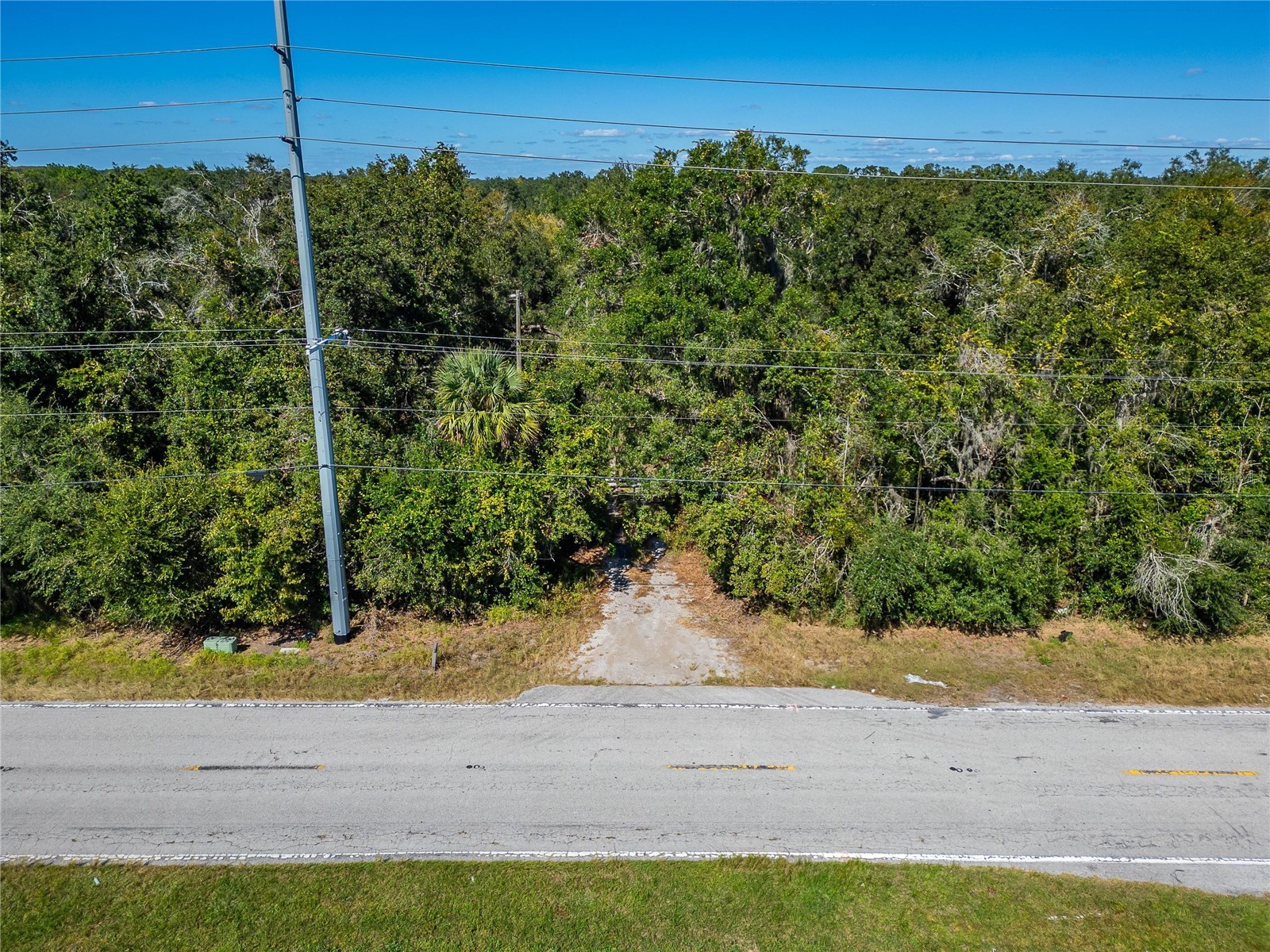 6930 Muck Pond Road Seffner FL 33584 TB8417228 image11