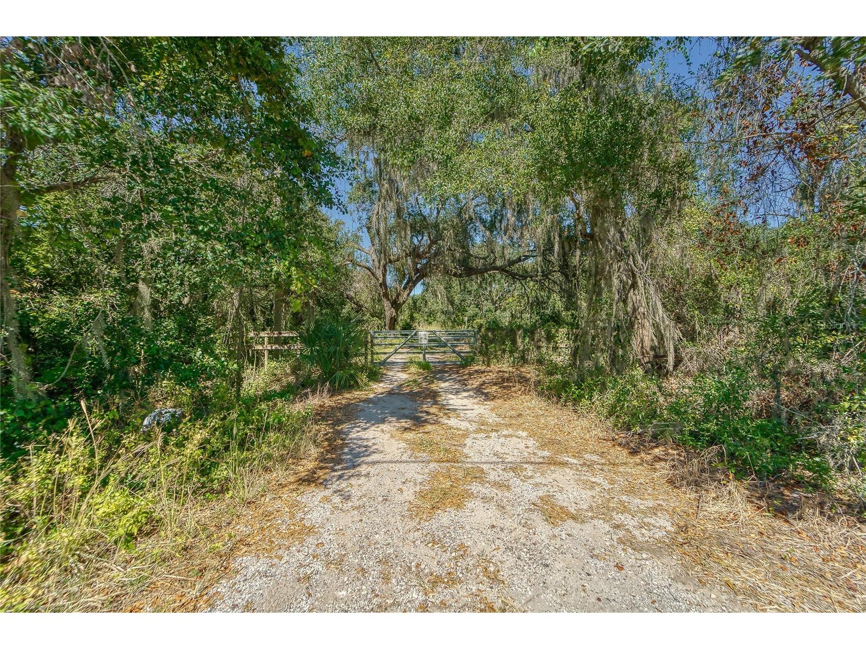 6930 Muck Pond Road Seffner FL 33584 TB8417228 image36