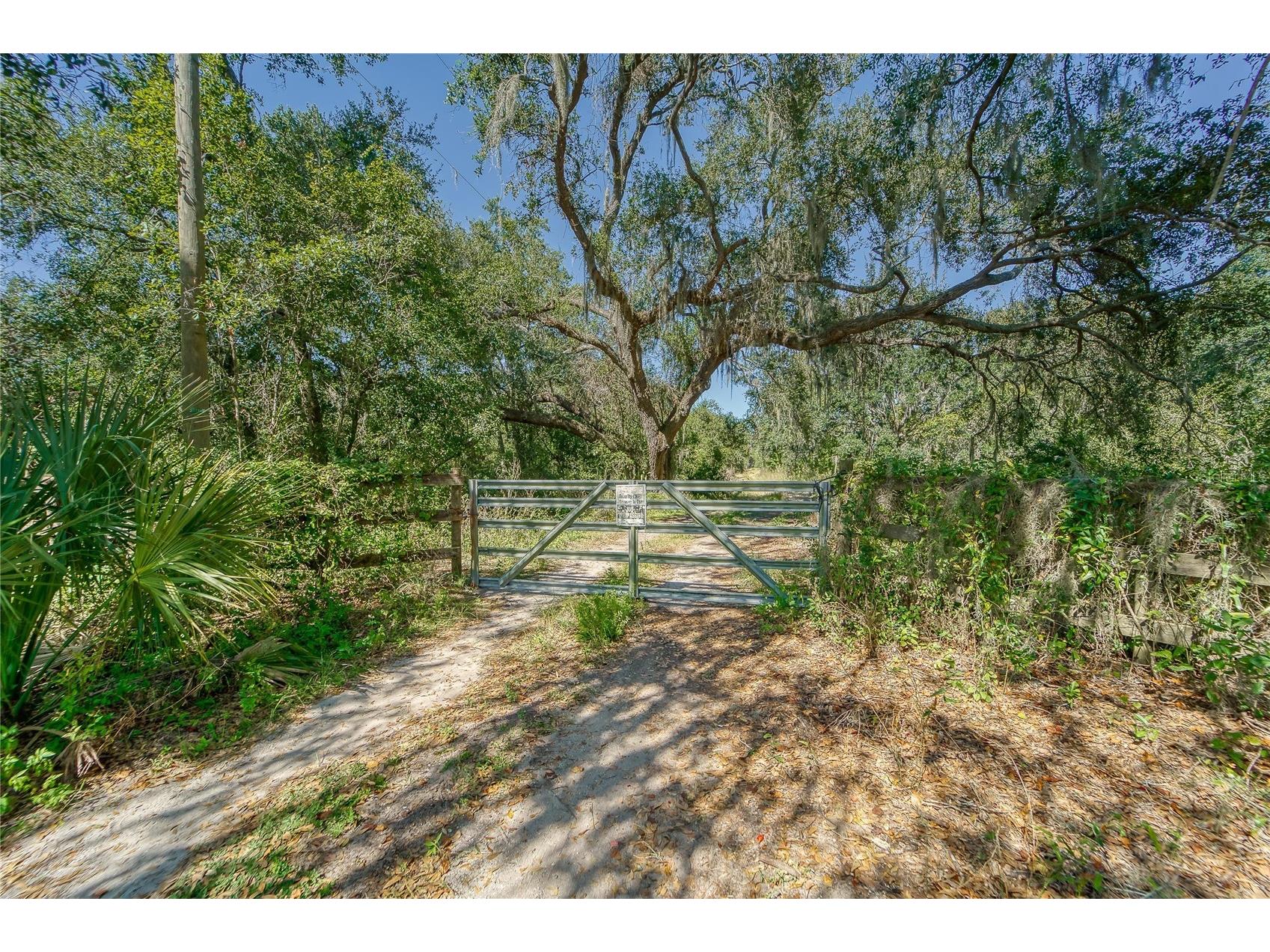 6930 Muck Pond Road Seffner FL 33584 TB8417228 image37